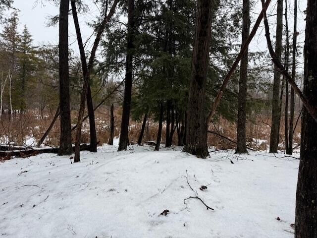 Property Photo:  V/L 7 Mile Road  MI 49346 