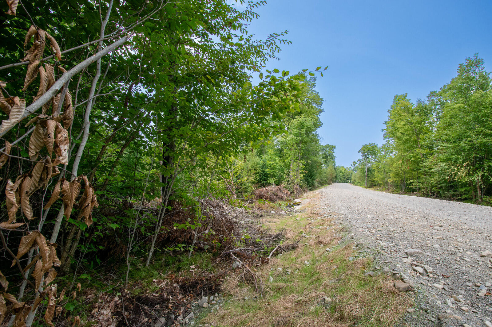 Property Photo:  Lot2 Bear Brook Subdivision  ME 04481 