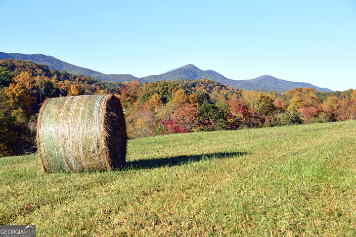 Property Photo:  Tract11b Great Escape Place  GA 30512 