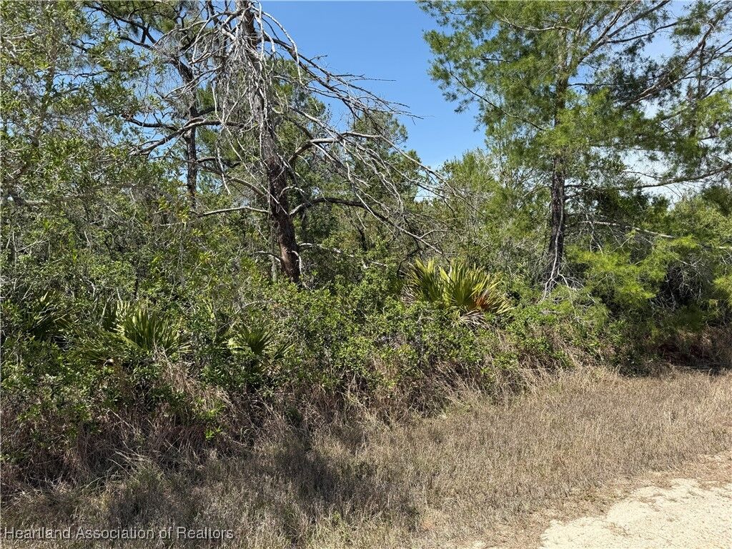 Property Photo: 446 Bright Hill Avenue FL 33852