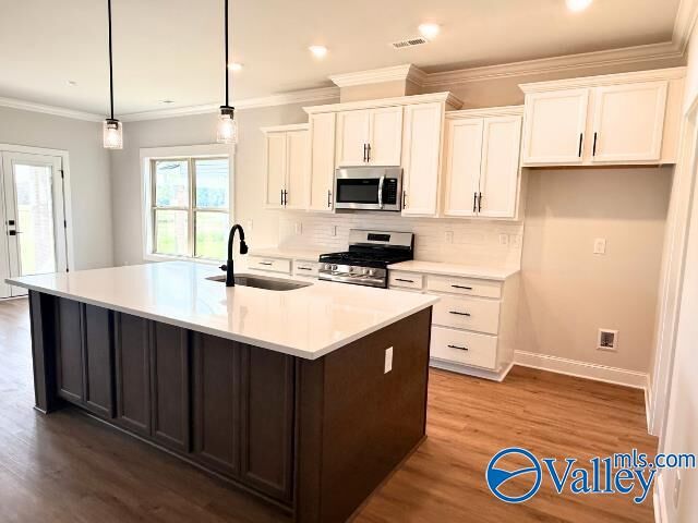 Property Photo:  1304 Vermilion Circle  AL 35803 