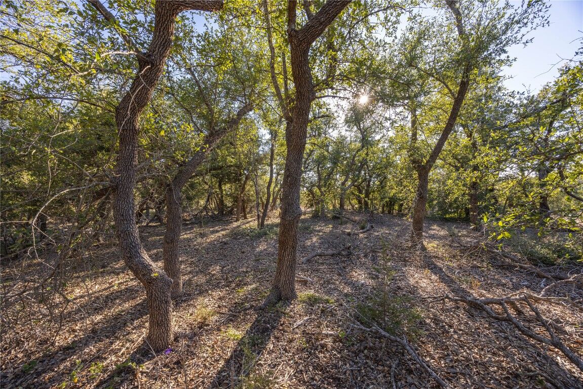 Property Photo:  130 Panorama Drive  TX 78676 