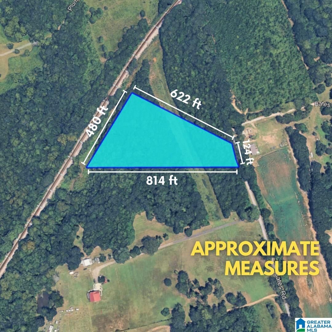 Property Photo:  0 Bates Road 0  AL 35178 