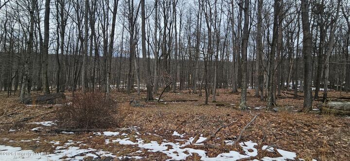 Property Photo: 214 Chippewa Drive PA 18202