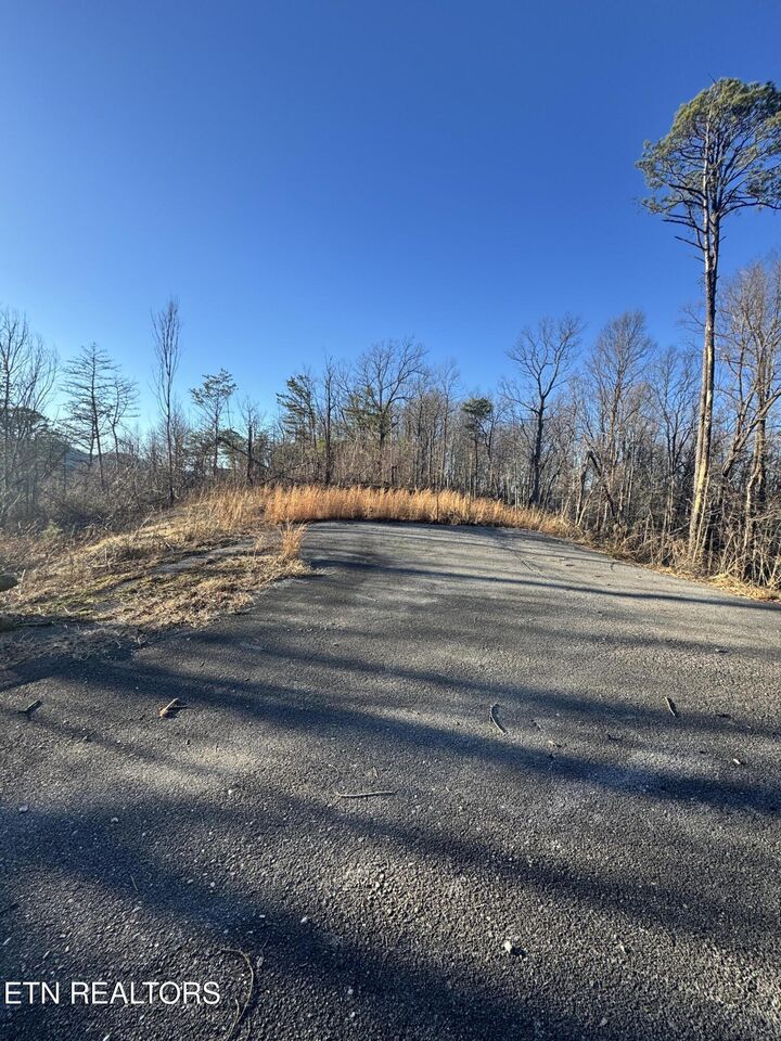 Property Photo:  3361 Sugar Maple Loop Rd  TN 37862 