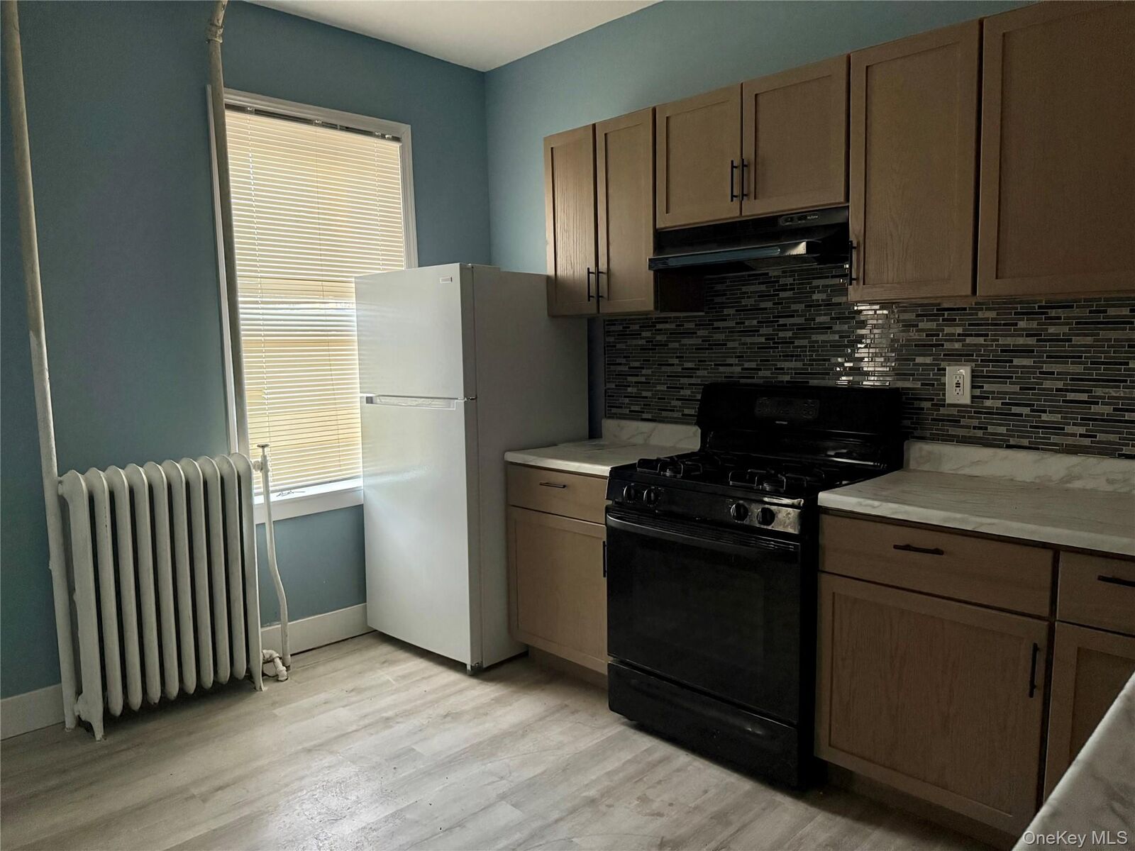 Property Photo: 46 Benkard Avenue 1 NY 12550