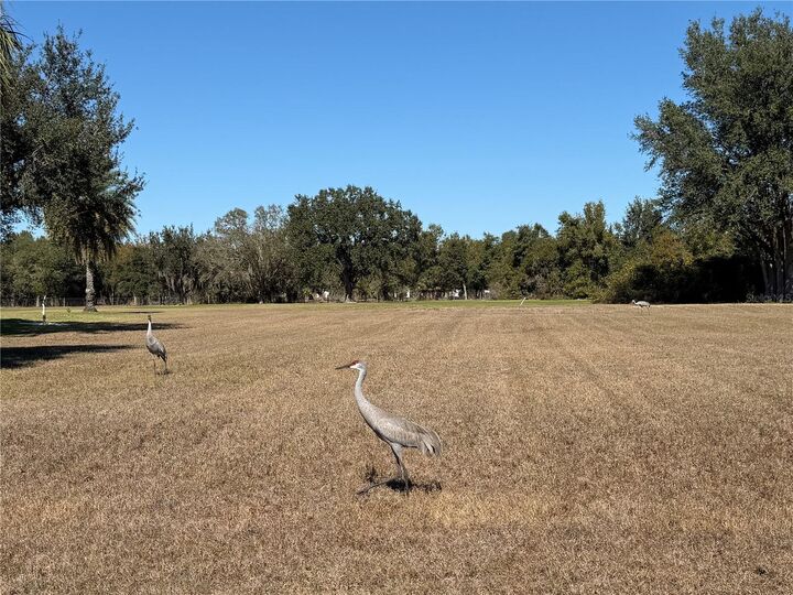 Property Photo:  7912 SW Sunny Oaks Drive  FL 34269 
