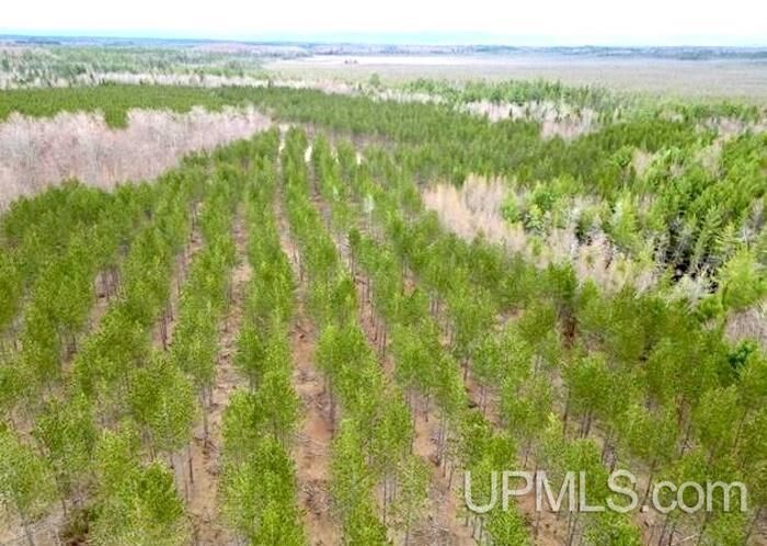 Property Photo:  Tbd West Round Lake Road  MI 49878-0000 