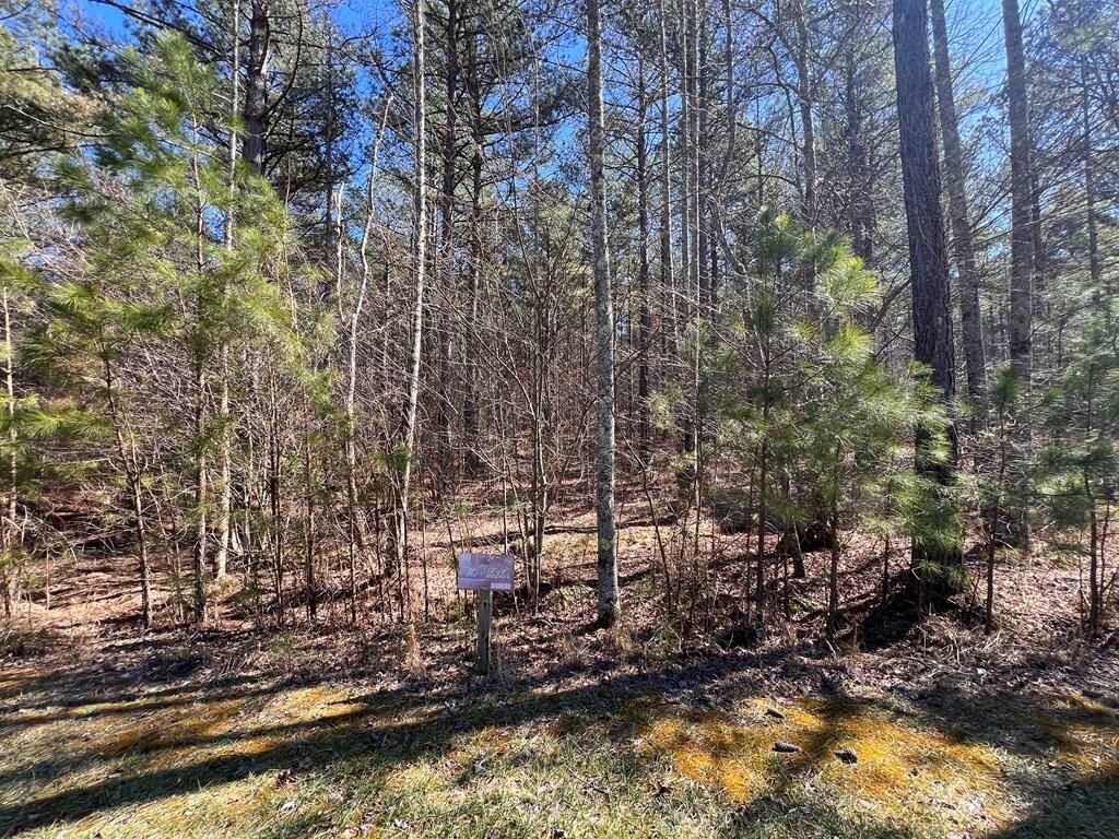 Property Photo: Lot 50 Deyton Dr GA 30512