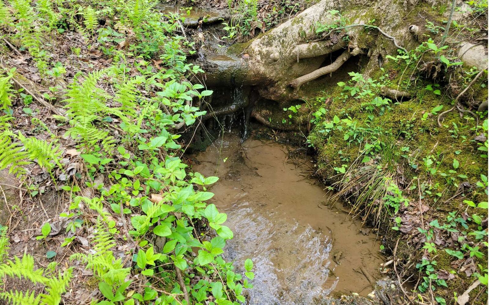 Property Photo:  Lot27 Oak Ridge Way  GA 30536 