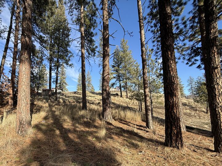 Property Photo:  Tbd Adams St  WA 99166 