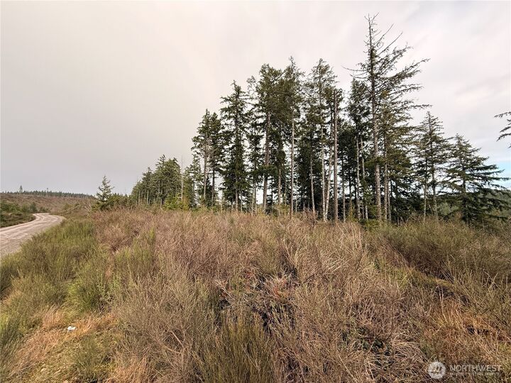 Property Photo:  1 Xx  West California Road  WA 98584 