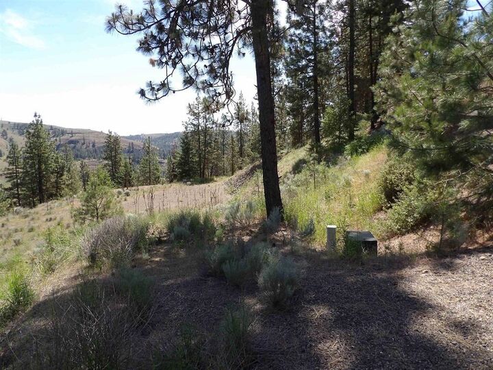 Property Photo: Lot 2 Chukar Short Plat Ln WA 99122