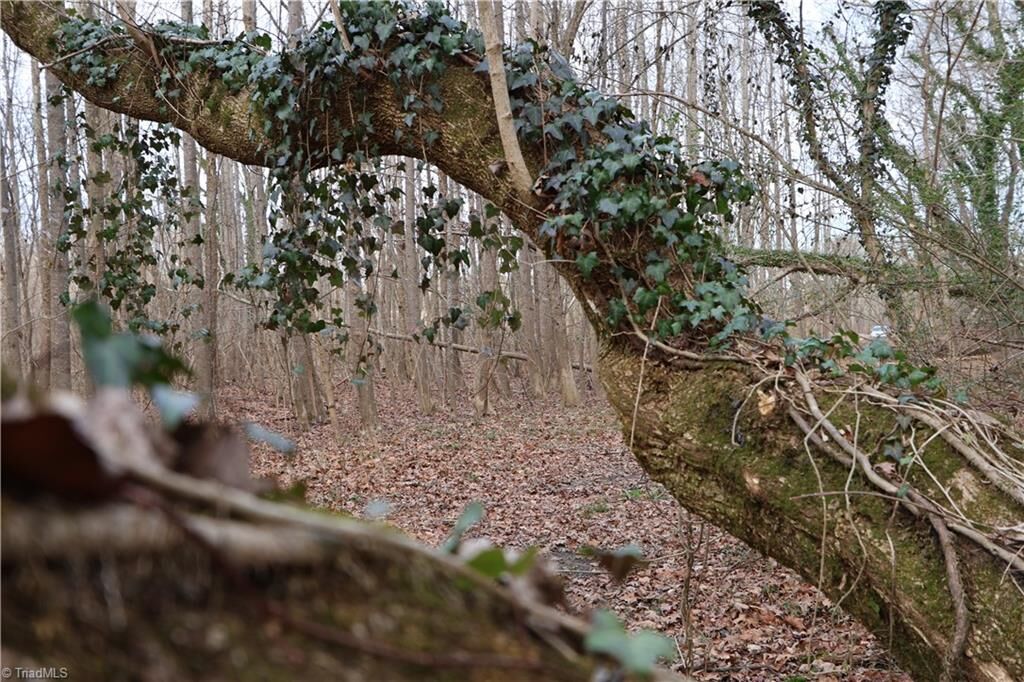 Property Photo:  226 Hamburg Street  NC 27030 