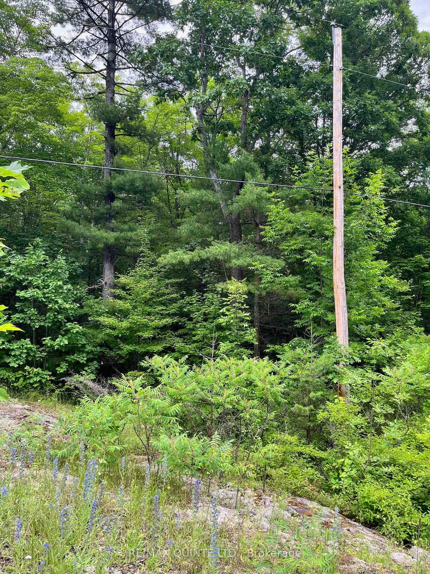 Property Photo: 0 (Pin - 40264-0091) Potter Settlement Road ON K0K 3J0