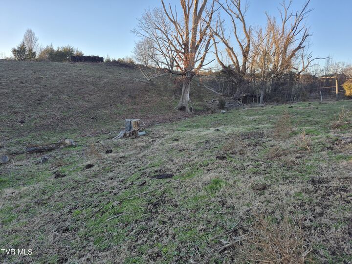 Property Photo:  00 Cw Kite Ln  TN 37818 