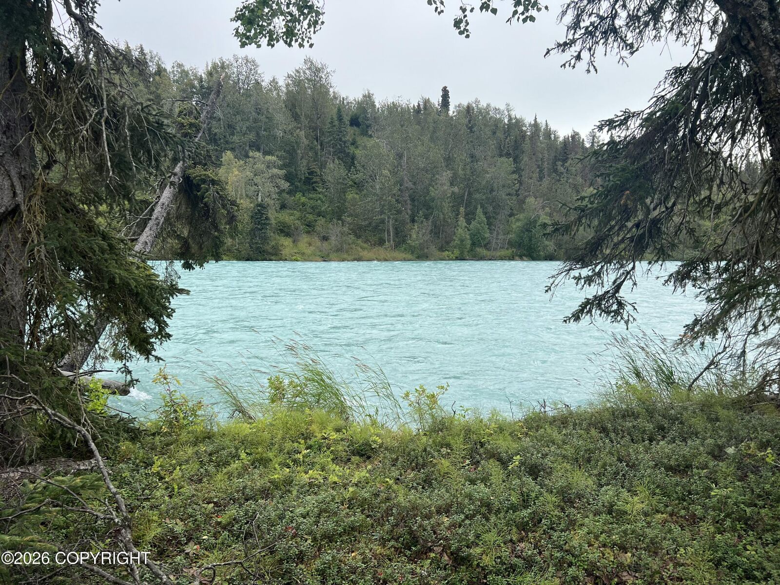 Property Photo: Tract C Jackie Ann Street AK 99610