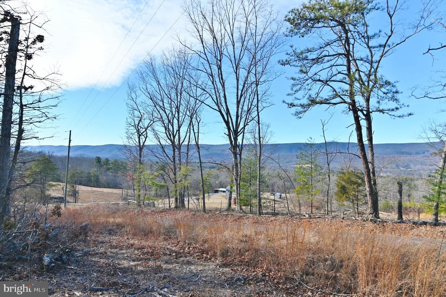 Property Photo:  Jerome Road  VA 22824 