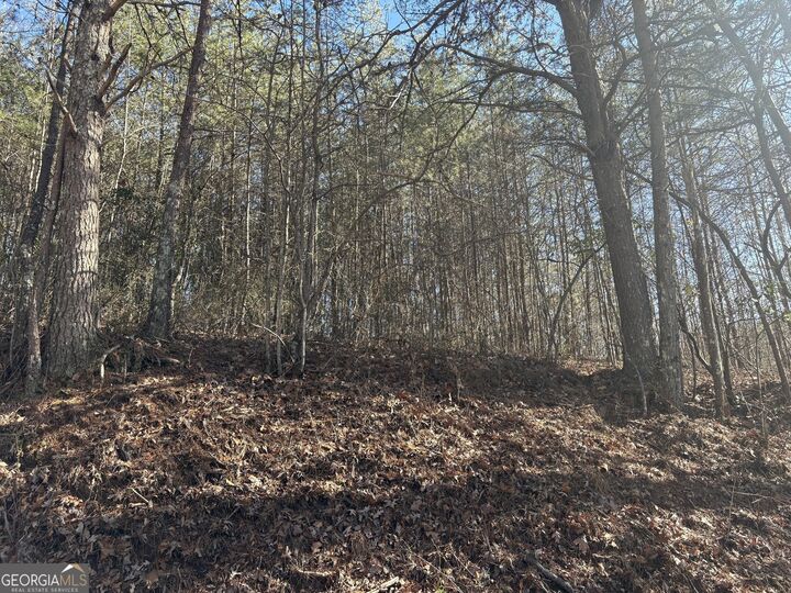 Property Photo:  0 Kimsey Mountain Highway  TN 37391 