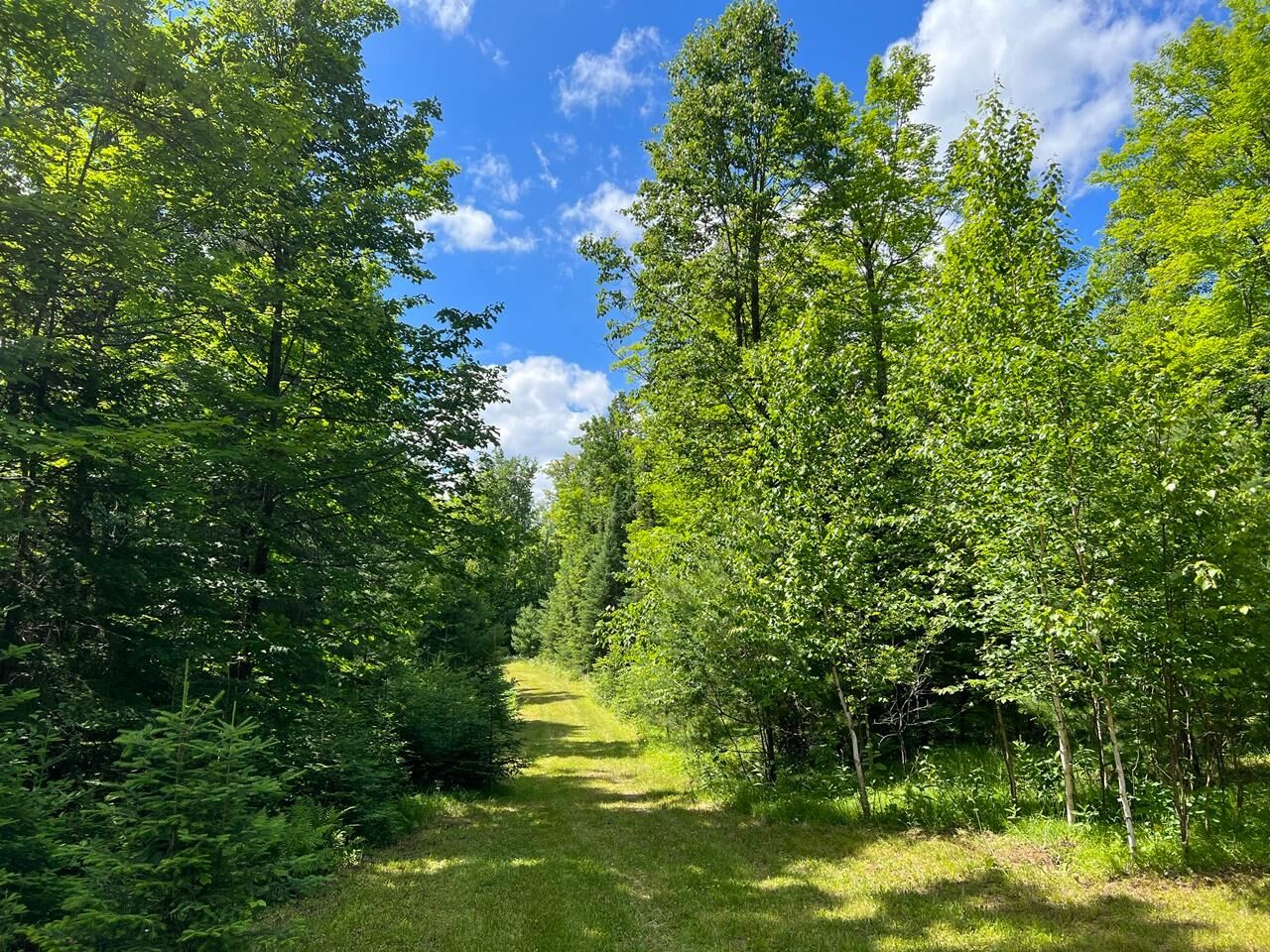 Property Photo: 2752W Mercer Lake Cr S WI 54547