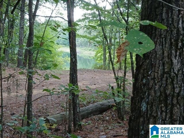 Property Photo: 105 Point Aquarius 22 AL 35014