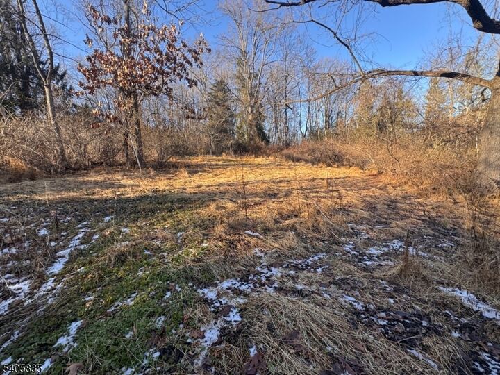 Property Photo:  4 High St  NJ 08826 