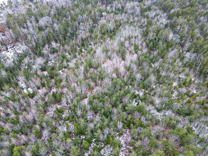 Property Photo:  Lot 73 Judy Avenue  NS B0W 3M0 