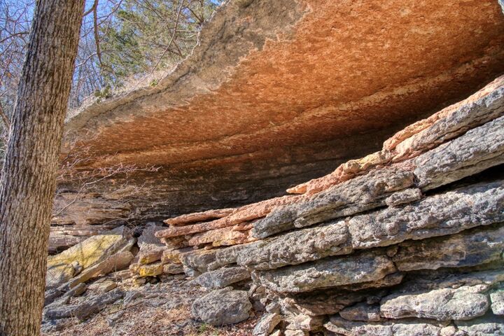 Property Photo:  Mundell Road  AR 72631 