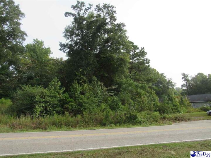 Property Photo:  Tbd National Cemetery Rd.  SC 29506 