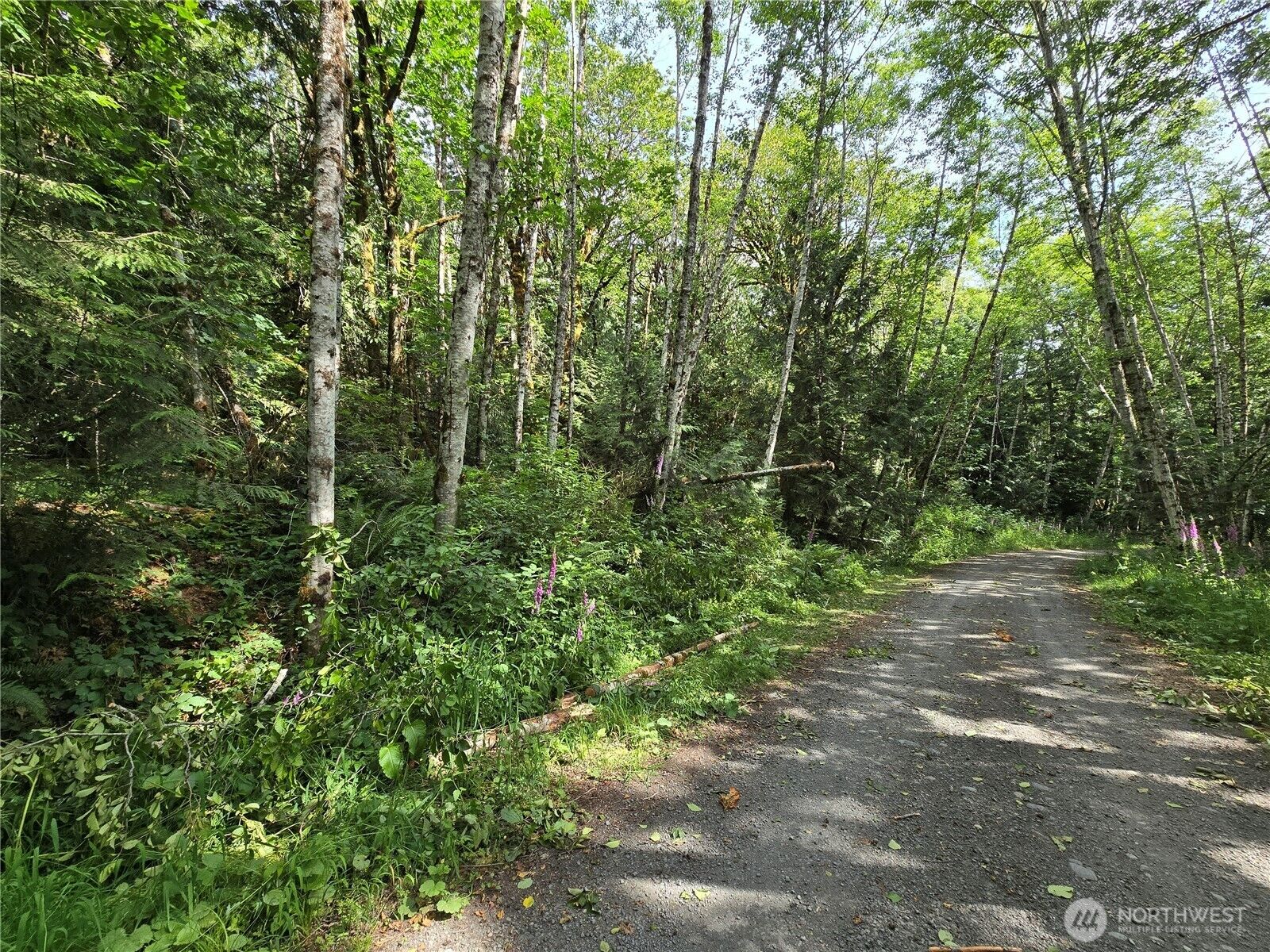 Property Photo: 0 Xxx Triton Heights Road WA 98555