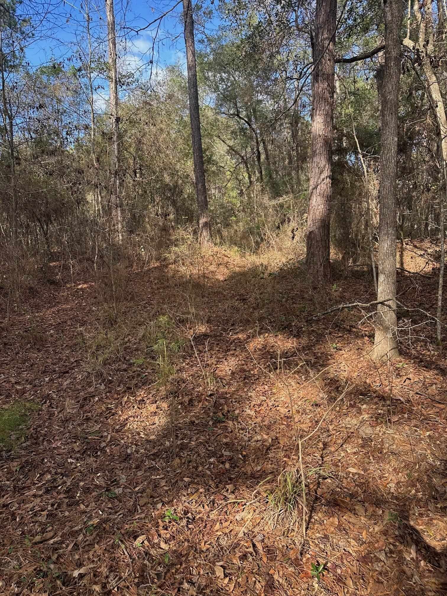 Property Photo:  0 Veterans Memorial Highway  FL 32309 