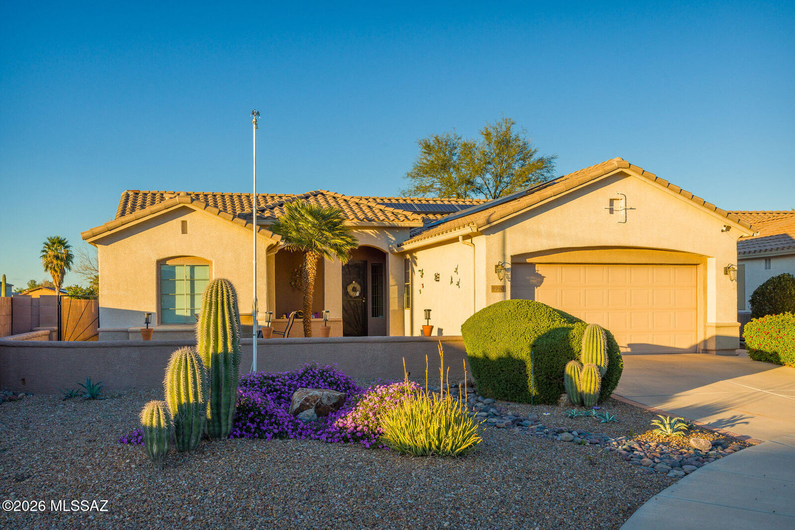 Property Photo:  9990 N Scarlet Ranges Lane  AZ 85743 