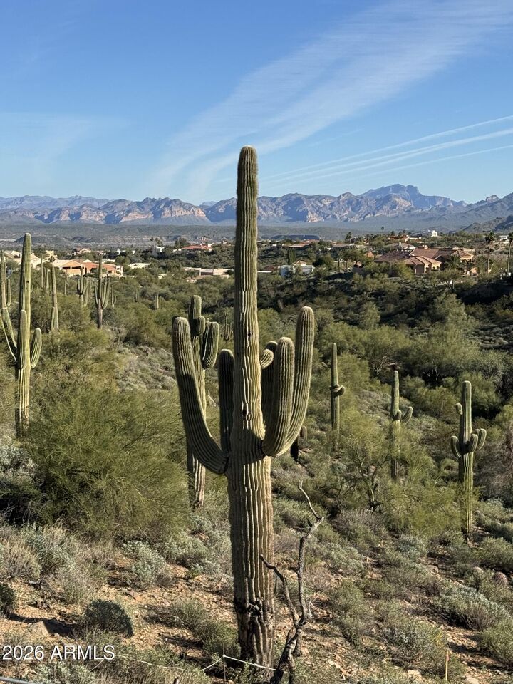 Property Photo:  16029 E Ironwood Drive 2  AZ 85268 