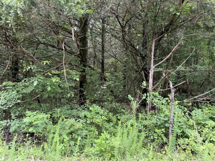 Property Photo: 001 Clark Lane AR 72512