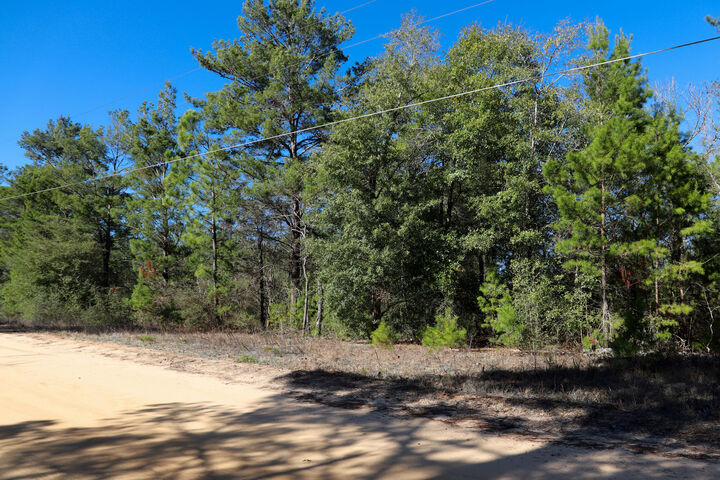 Property Photo:  Lot 23 E Marigold East Avenue  FL 32433 