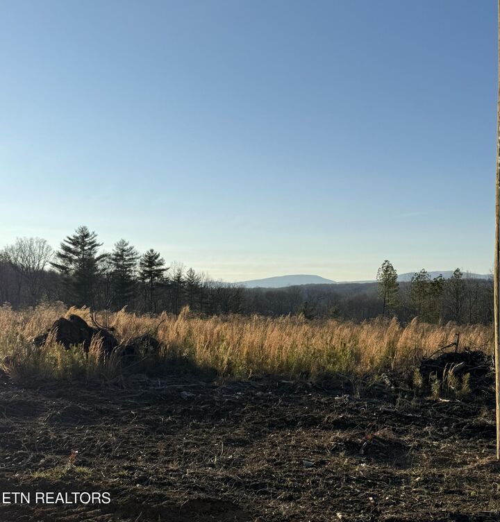 Property Photo: Possom Trot Rd. - Tract 12 TN 37337