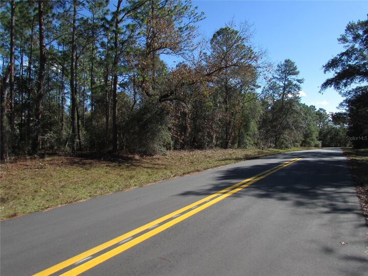 Property Photo:  Lot 18 SW 156 Street  FL 34473 