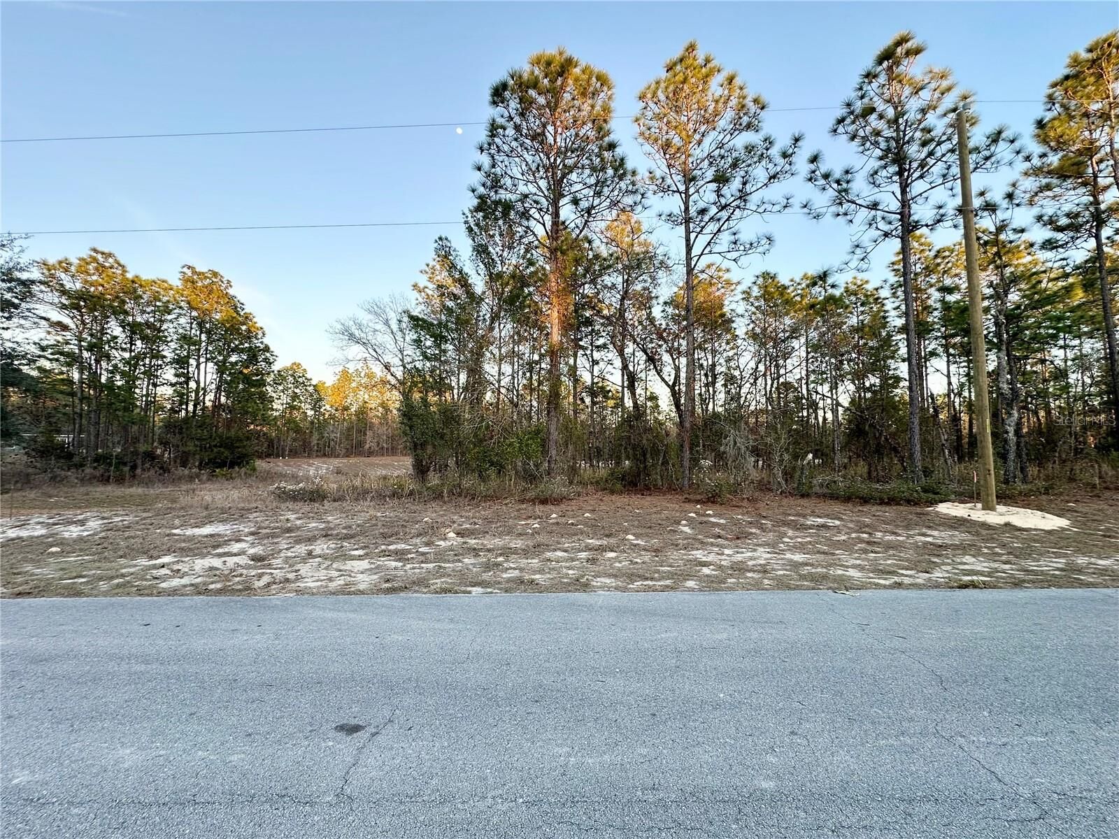 Property Photo:  0 SW 88th Court  FL 34473 