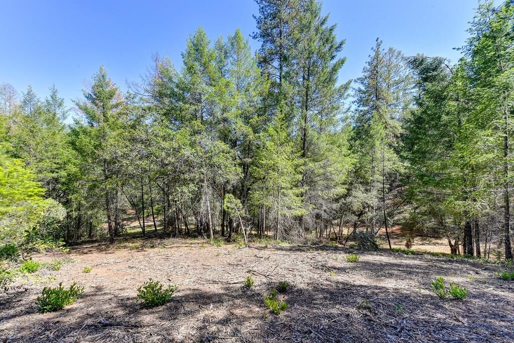 Property Photo: 2000 Ponderosa Way CA 95713