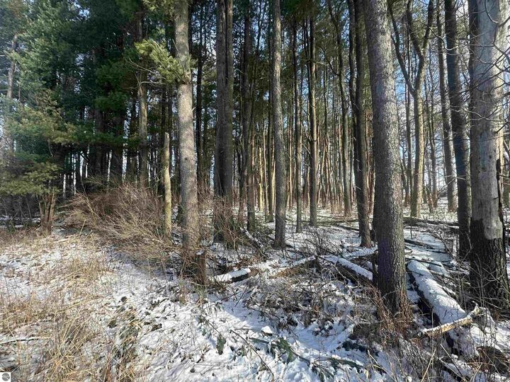 Property Photo: 8450 N Brinton Road MI 48632