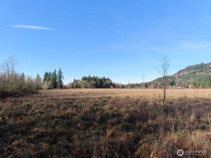 Property Photo: 0 Xxx Larson Road WA 98564