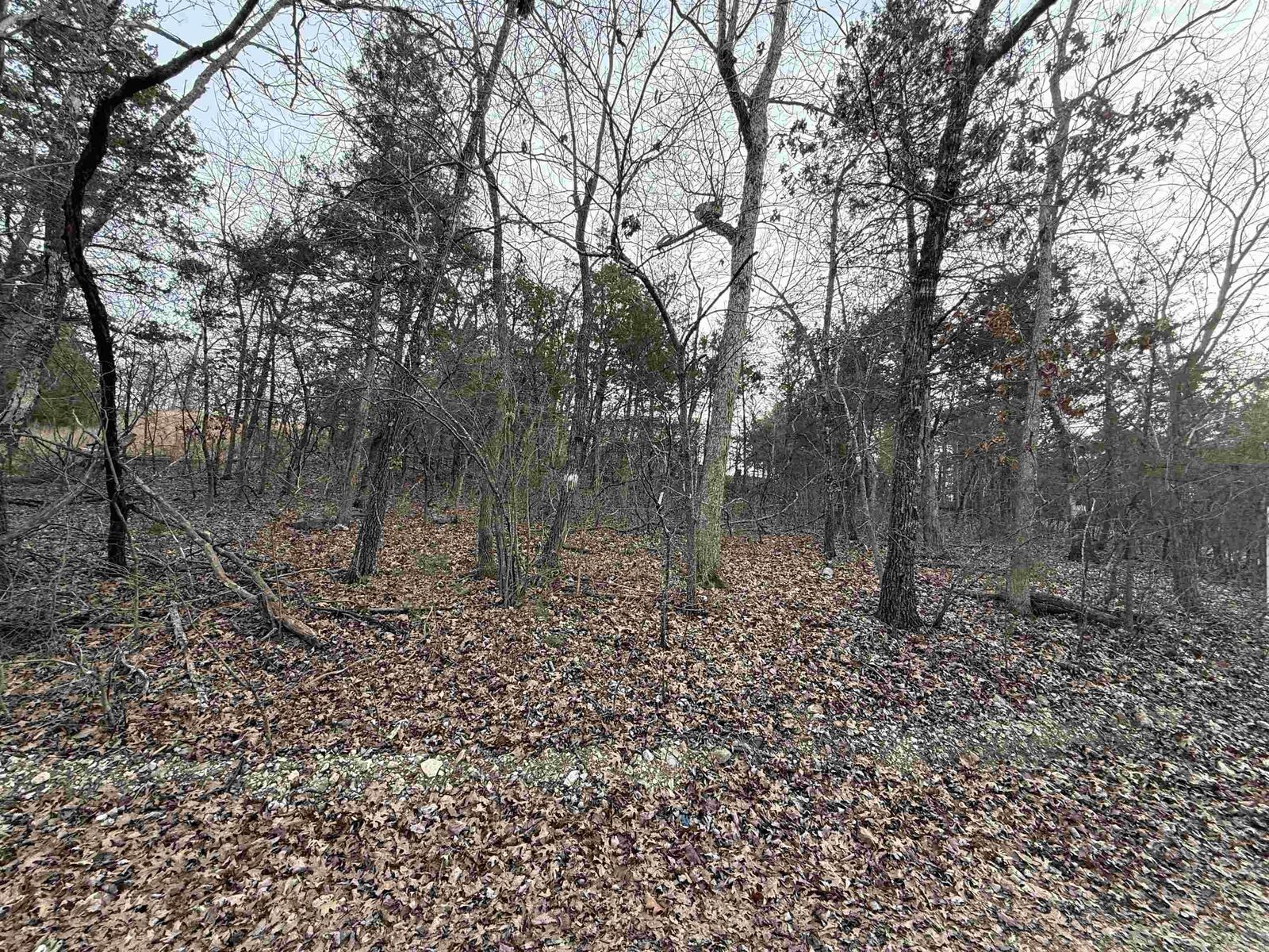 Property Photo: 001 Mallard Drive AR 72630