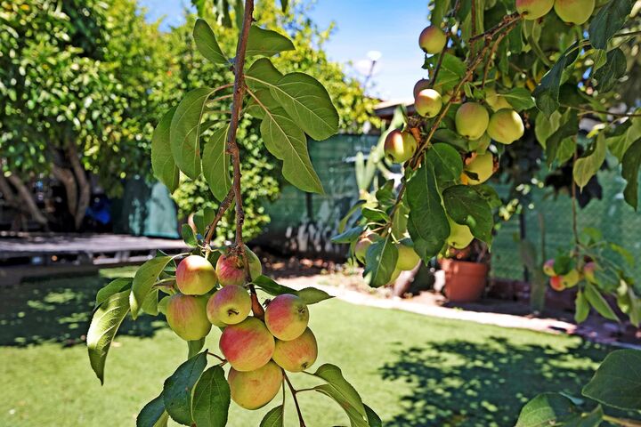 Property Photo: 2309 High St CA 94601