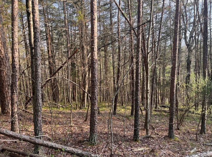 Property Photo:  0 Cynthia Chapel Rd  KY 41230 