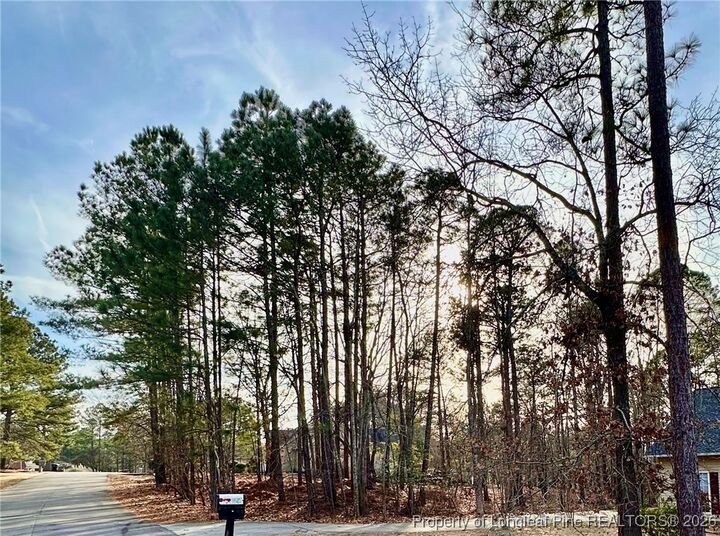 Property Photo:  56 Lotus Lane  NC 27332 