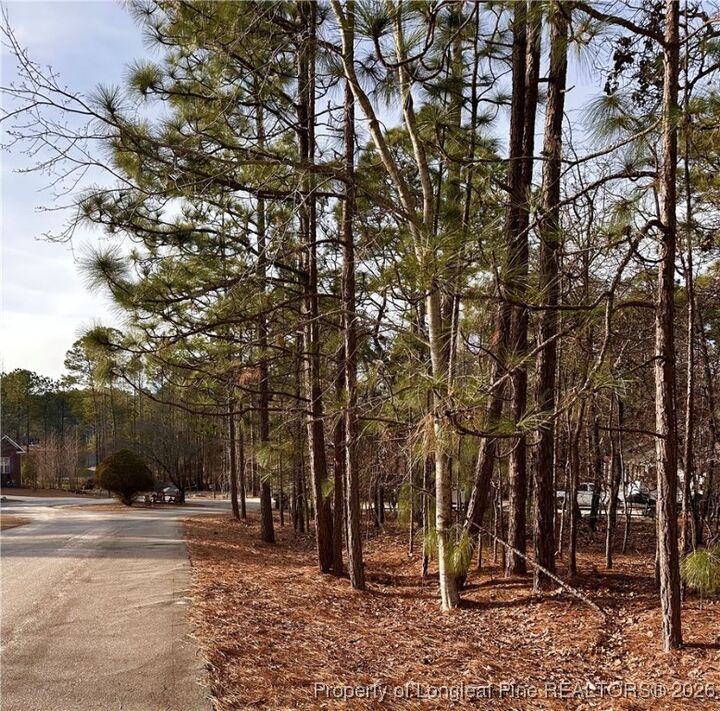 Property Photo:  36 Magnolia Court  NC 27332 