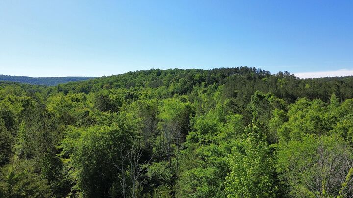 Property Photo: 0 E Armuchee Road GA 30728