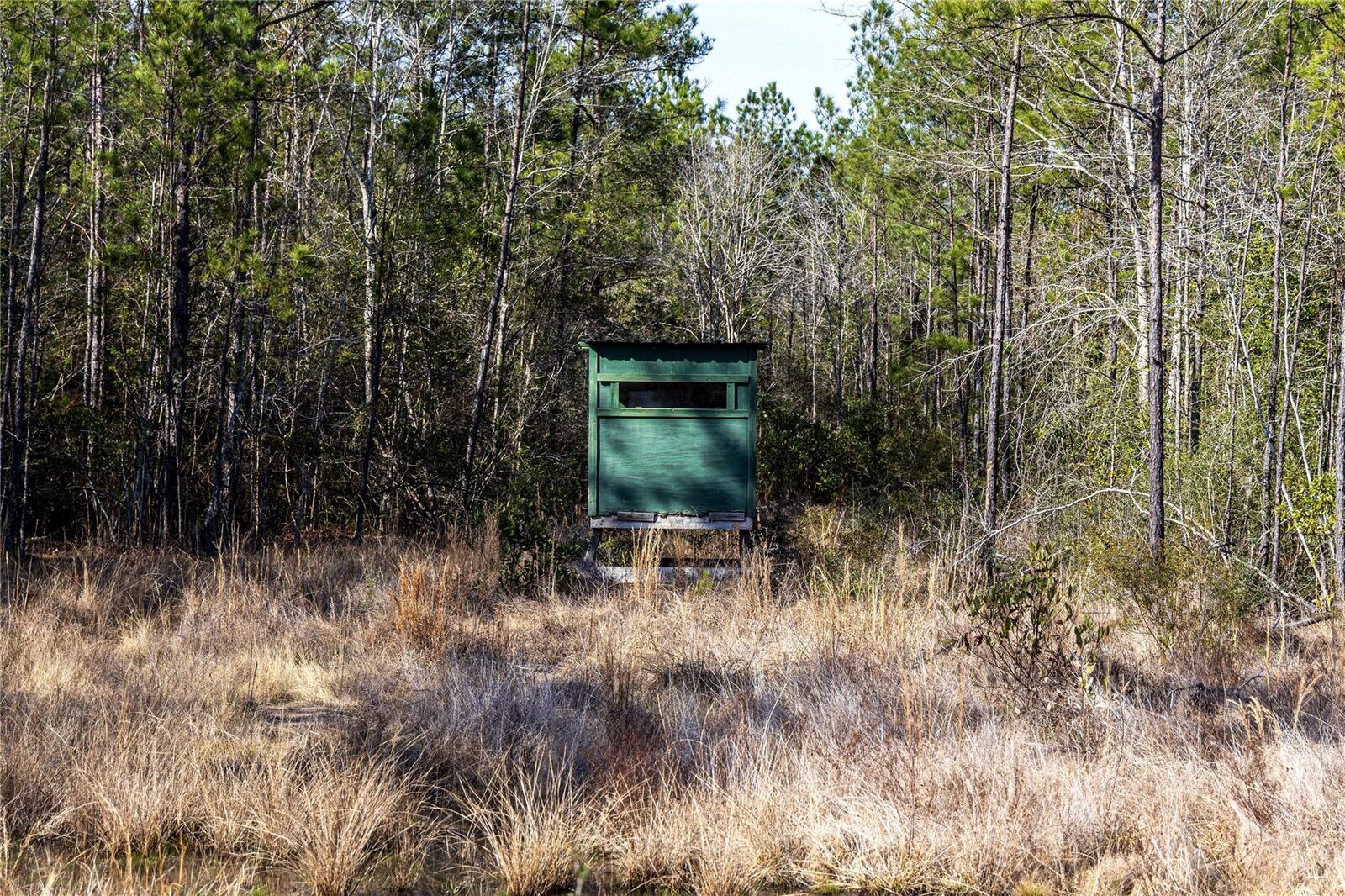 Property Photo:  1865 N Hwy 326  TX 77625 