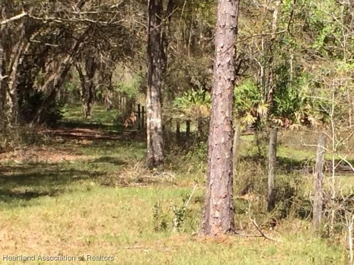 Property Photo:  49 Fenny Bosk Trail  FL 33960 