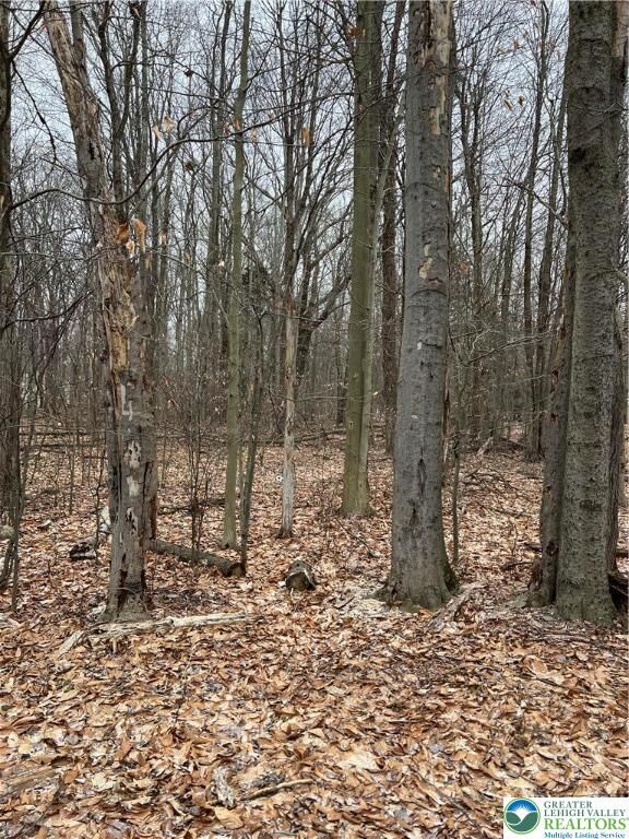 Property Photo: 255 Pontiac Path Trail 12 PA 18347